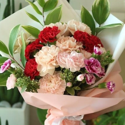 Flowers-Carnation Mixture
