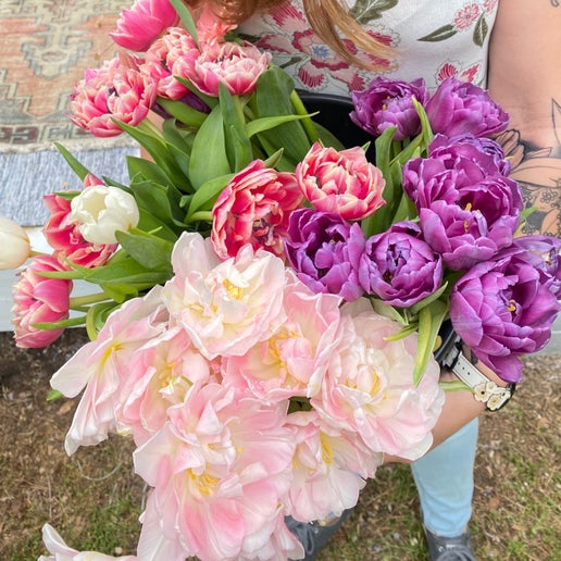 Mother's Day Tulip Bundle without Vase